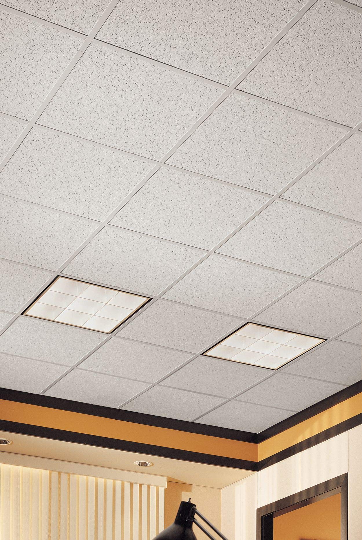 asbestos ceiling tiles pictures