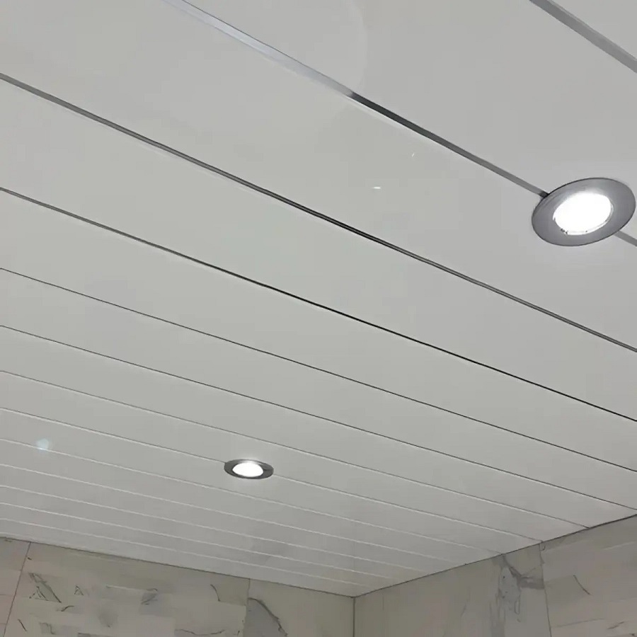 Bathroom Ceiling
