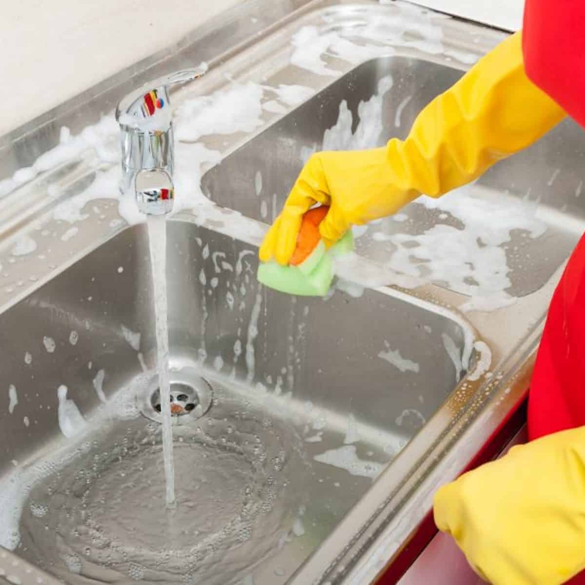 stinky sink drain