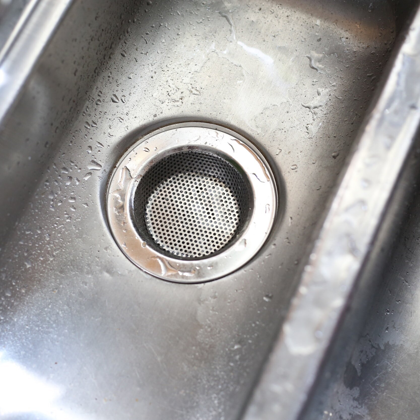 stinky sink drain